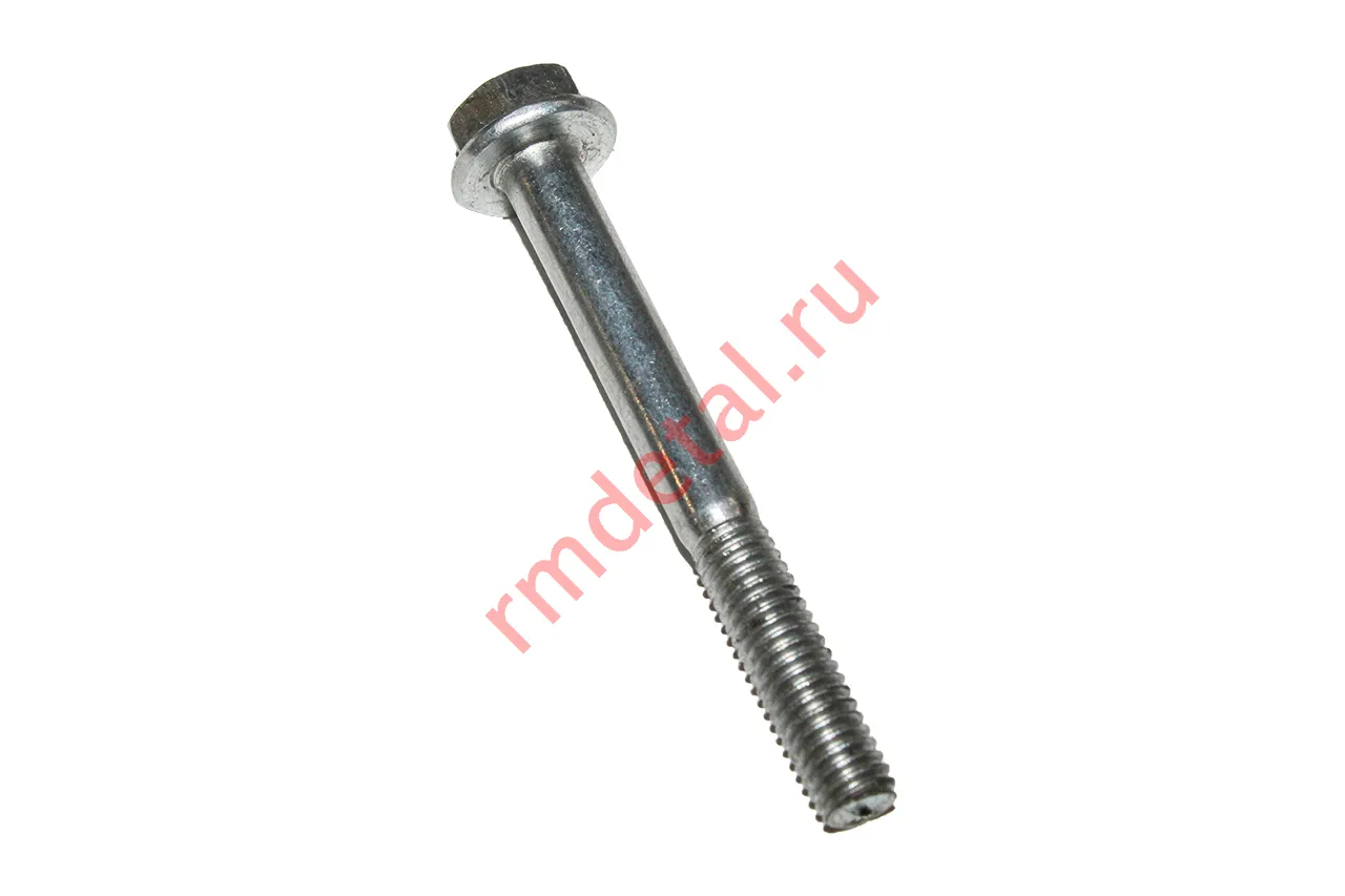 Болт М6х55 50506055LBX